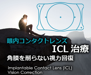 ICL研究協会